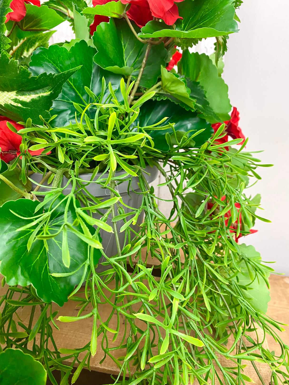 15" UV Protect Red Draping Geranium Pot-filler