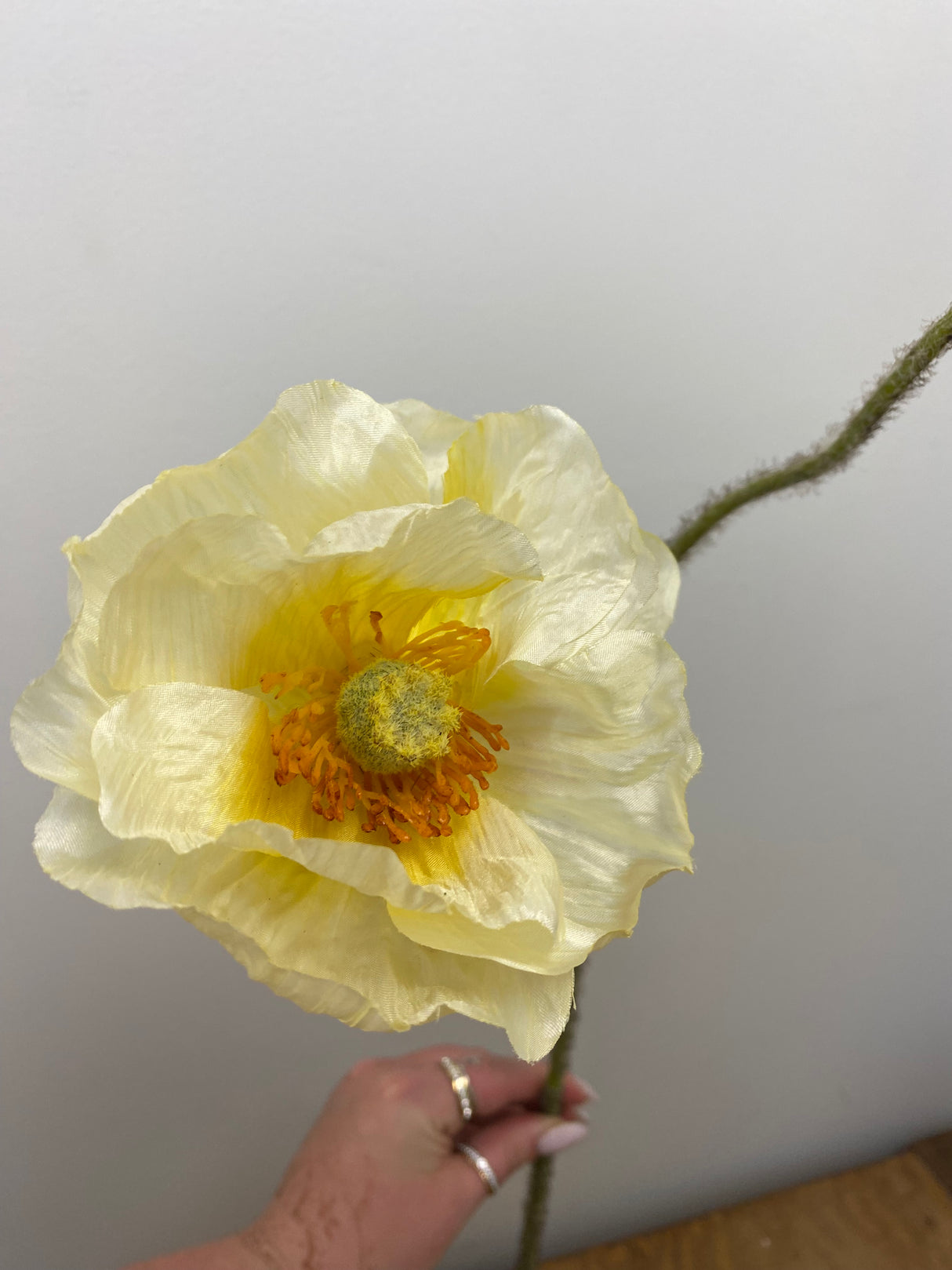 Cream Poppy Spray With Bud