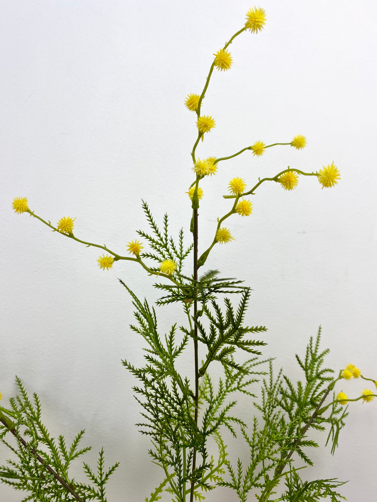 Yellow Mimosa Spray