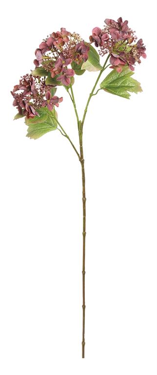 Merlot Lacecap Hydrangea Spray