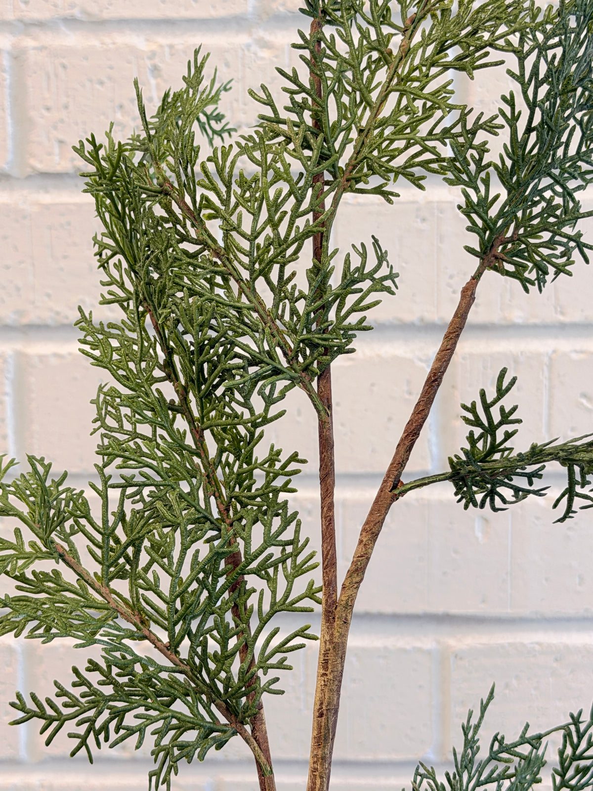 Green Eastern Cedar Spray