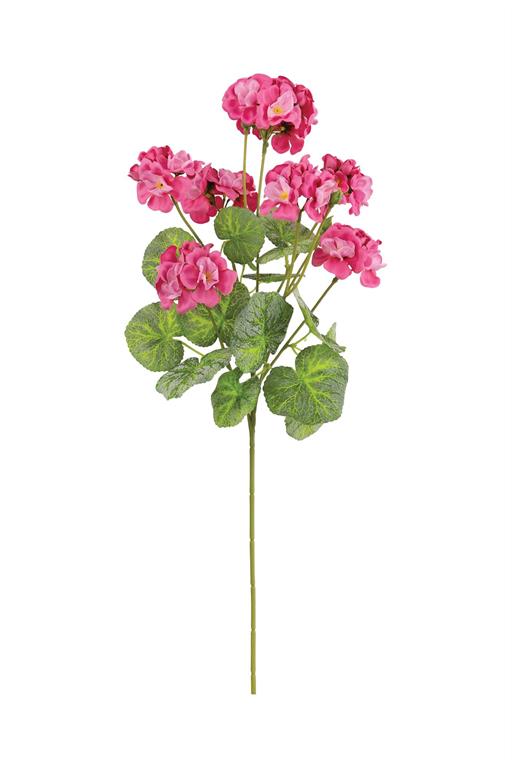 New Day Fuchsia Geranium Spray