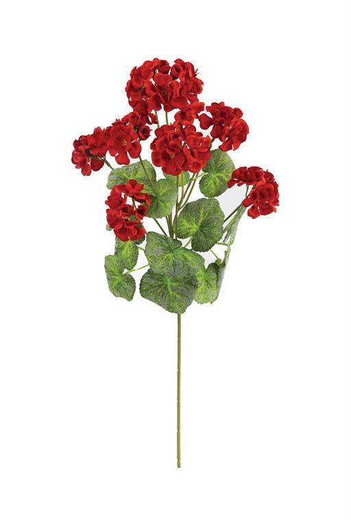 New Day Red Geranium Spray