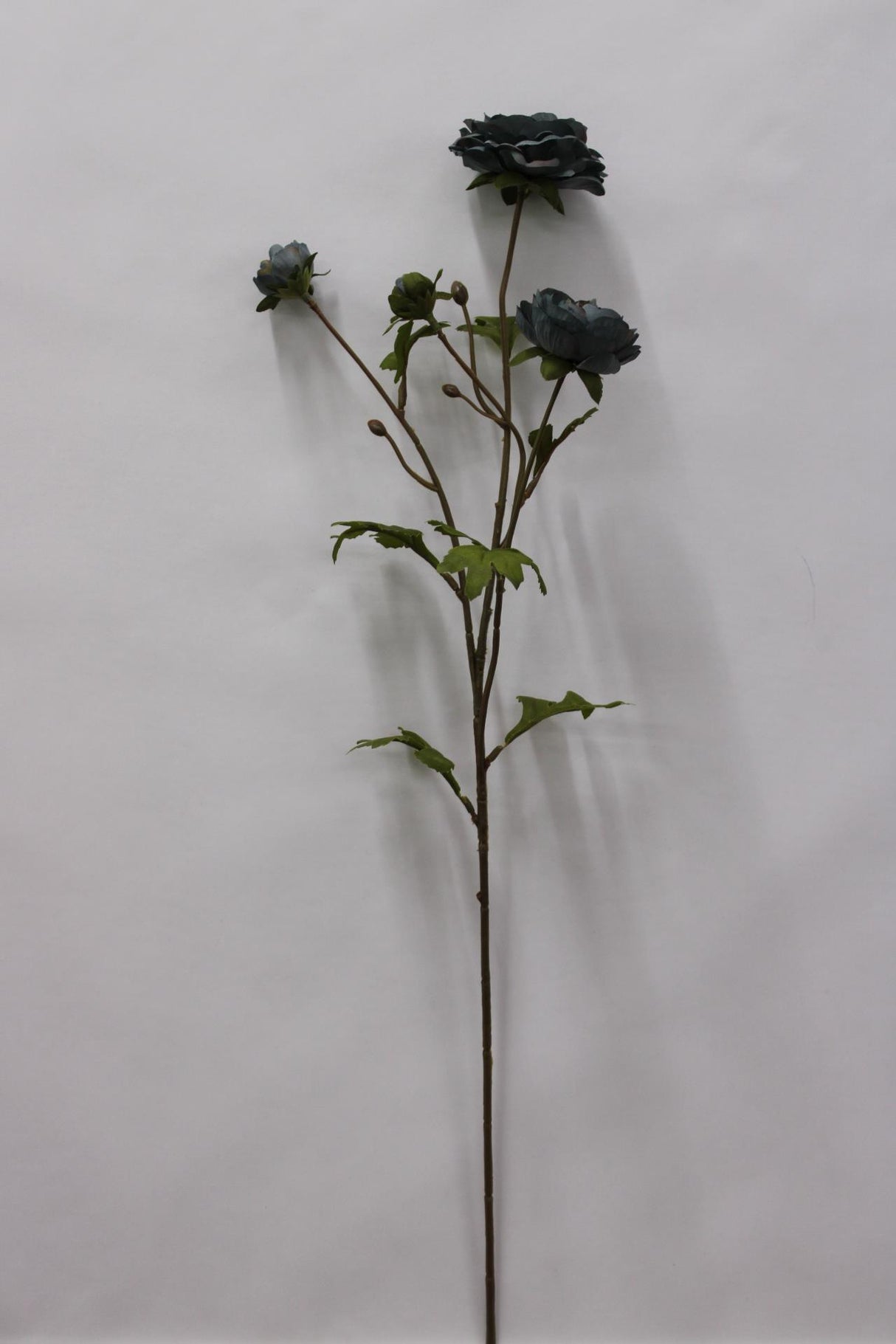 Slate Ruffle Ranunculus Spray