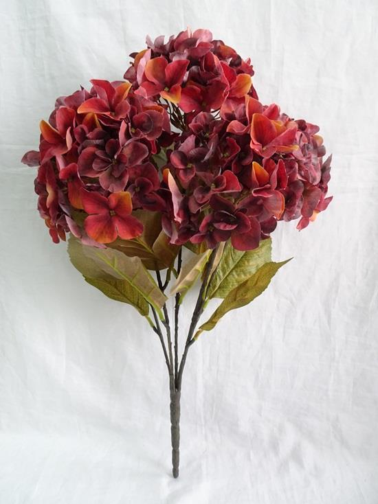 Rust Harvest Hydrangea Bush