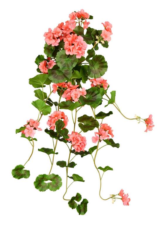 UV Protect Coral Soft Touch Geranium Hanging Bush