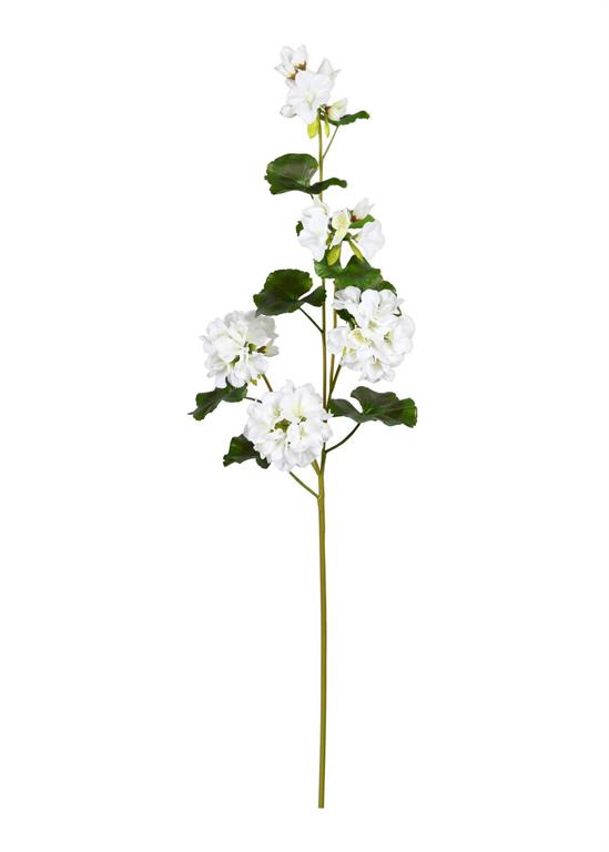 UV Protect White Soft Touch Geranium Spray