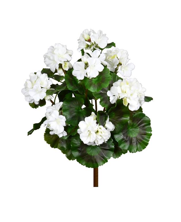 UV Protect White Soft Touch Geranium Bush