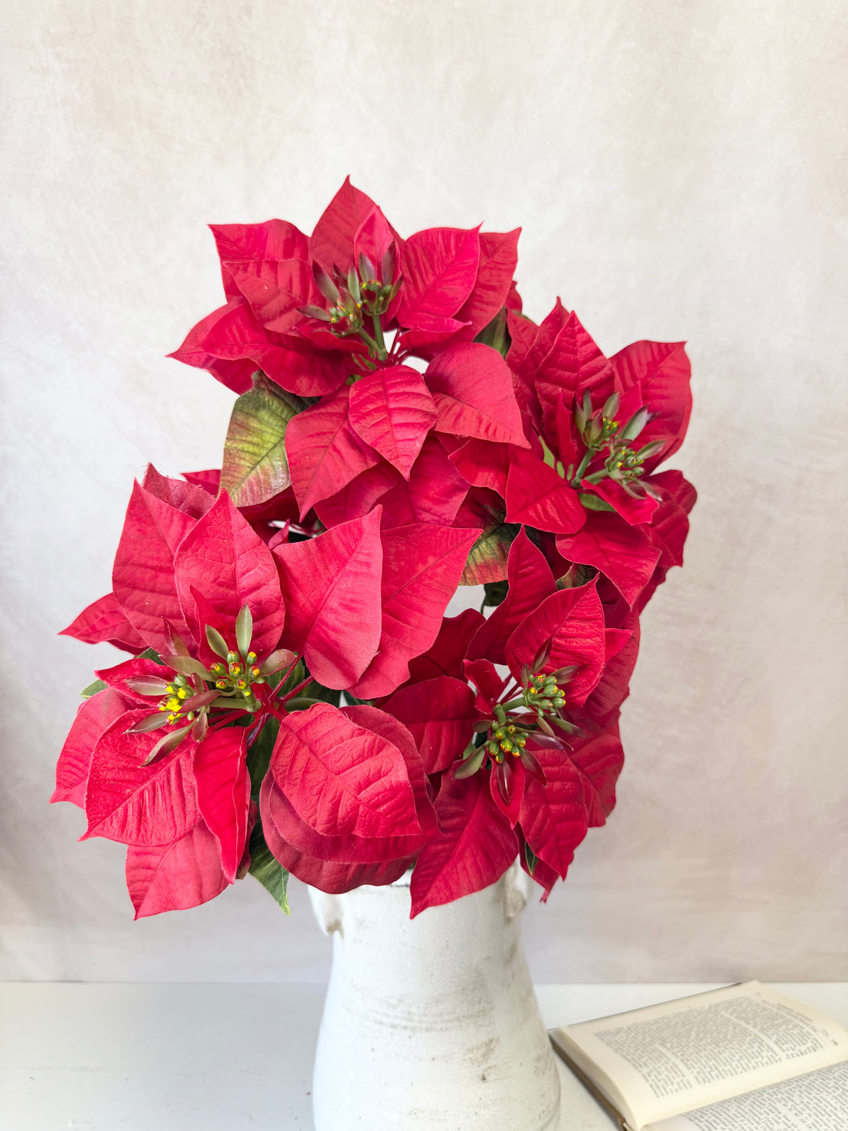 Holiday Red Poinsettia Bush