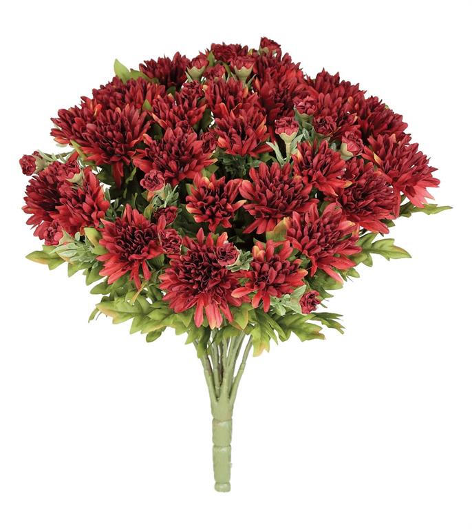 Dark Red Mum Bush