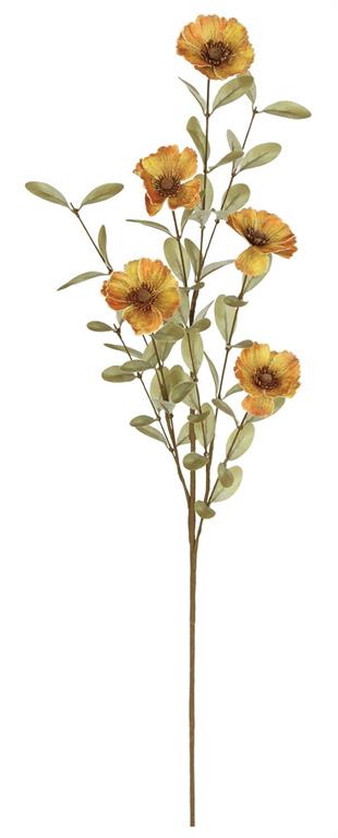 Taupe Cosmos Spray