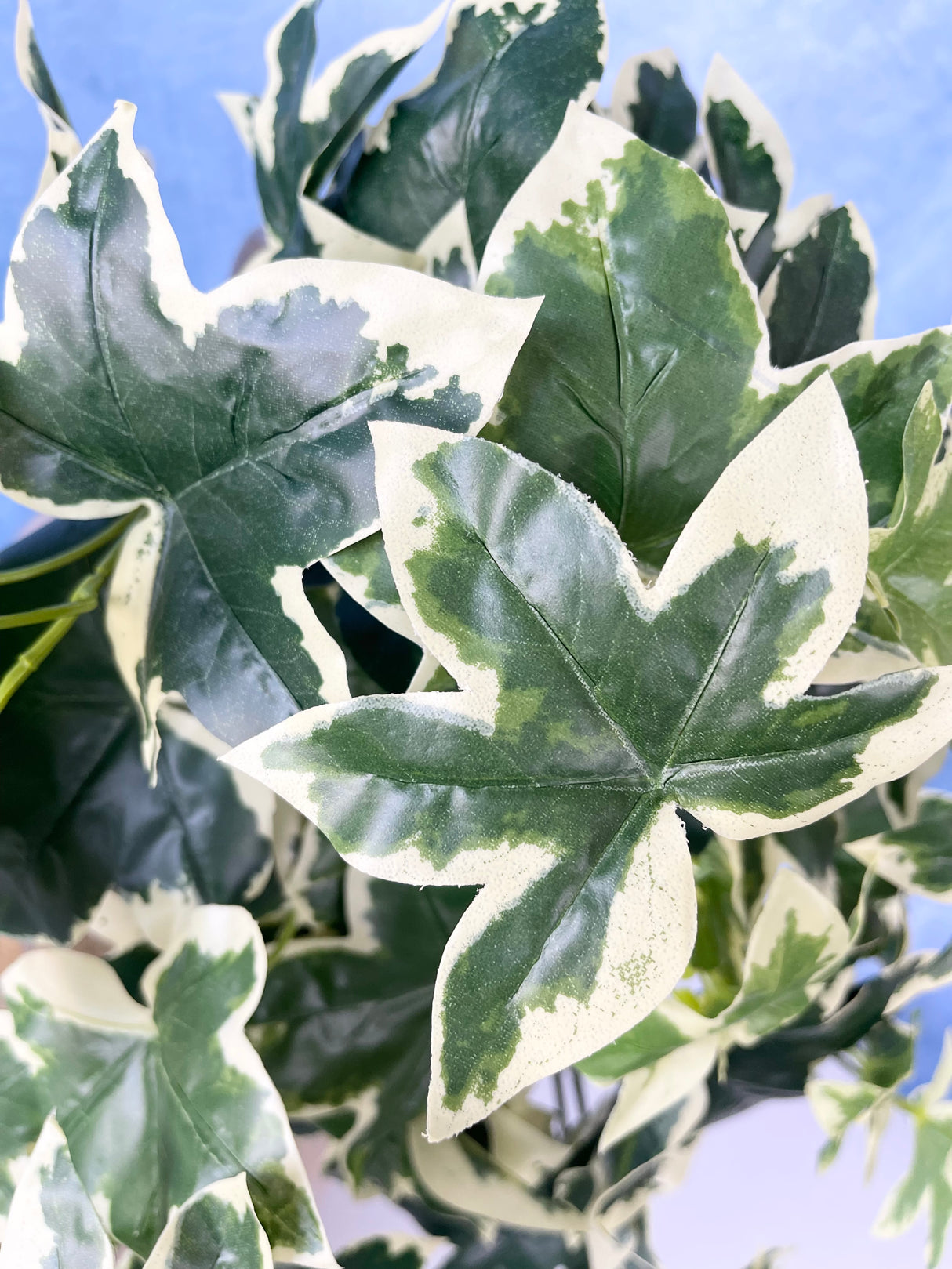 UV Protect Hanging Garden Ivy Bush