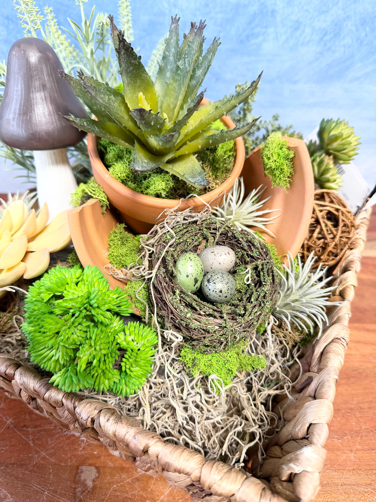 12" Succulent Garden Dish Centerpiece