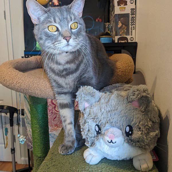 Grey Kitty Plush Mini Squishable