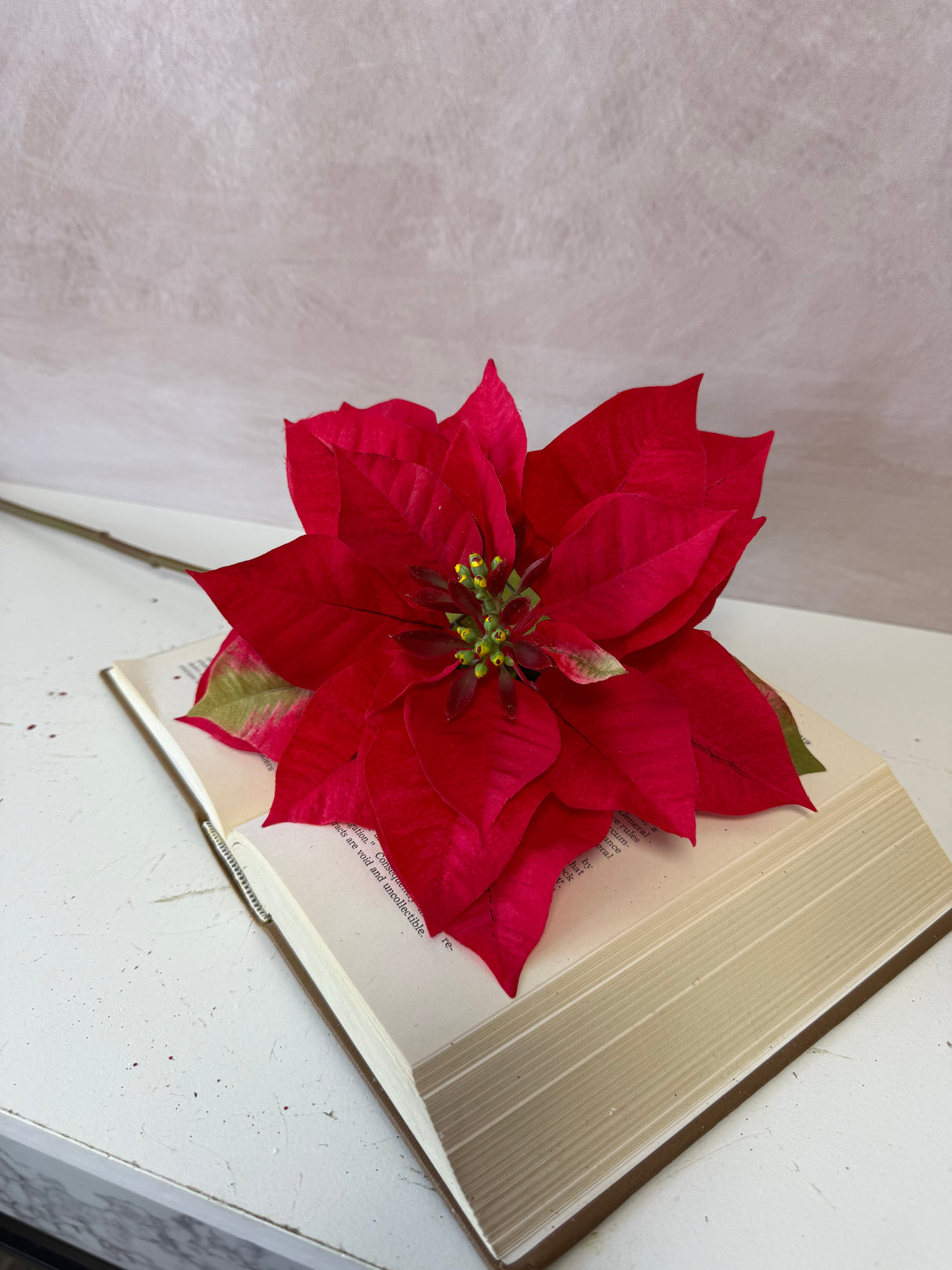 Timeless Red Poinsettia