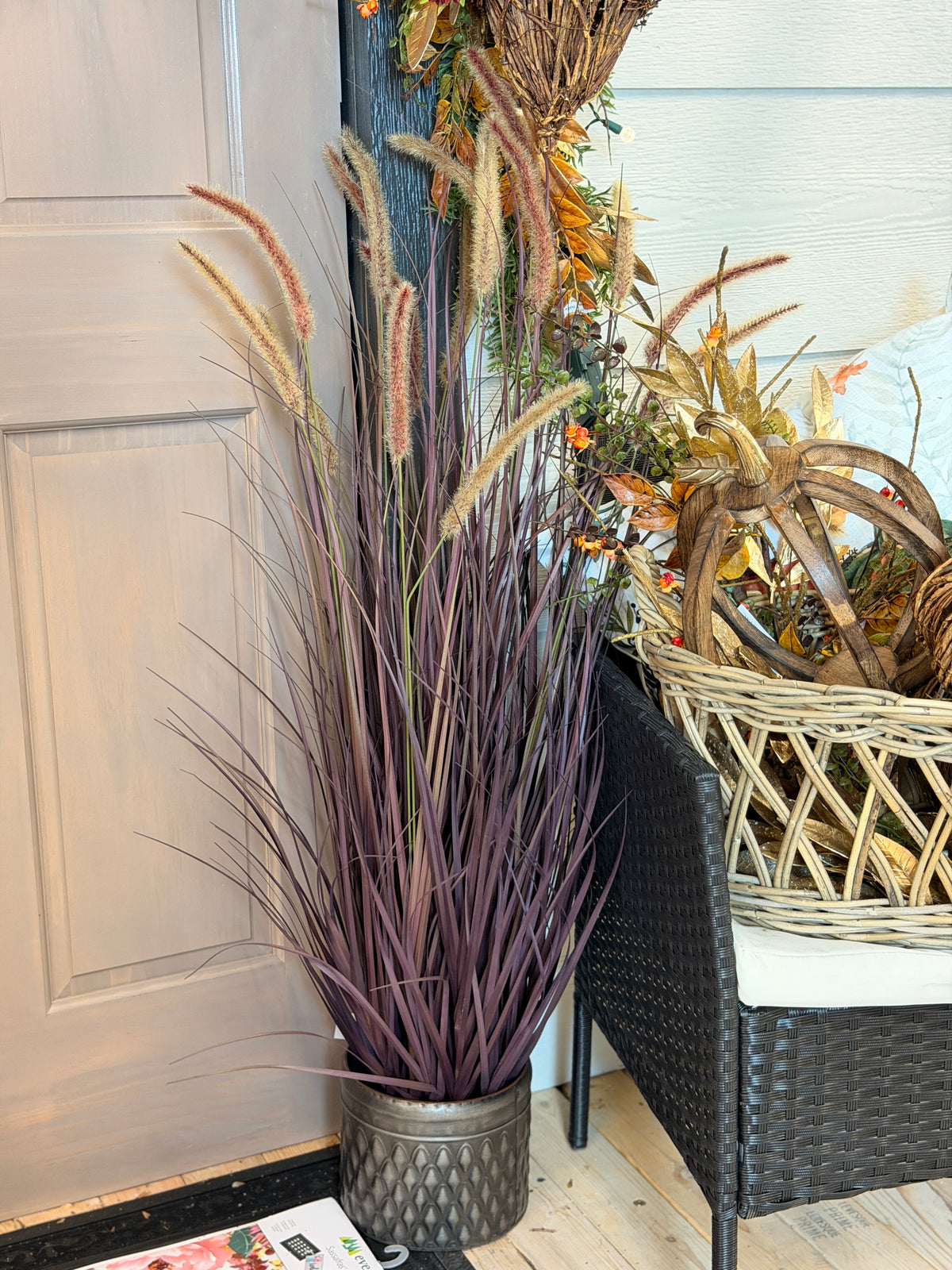 UV Protect Plum Potted Fountain Plume Grass
