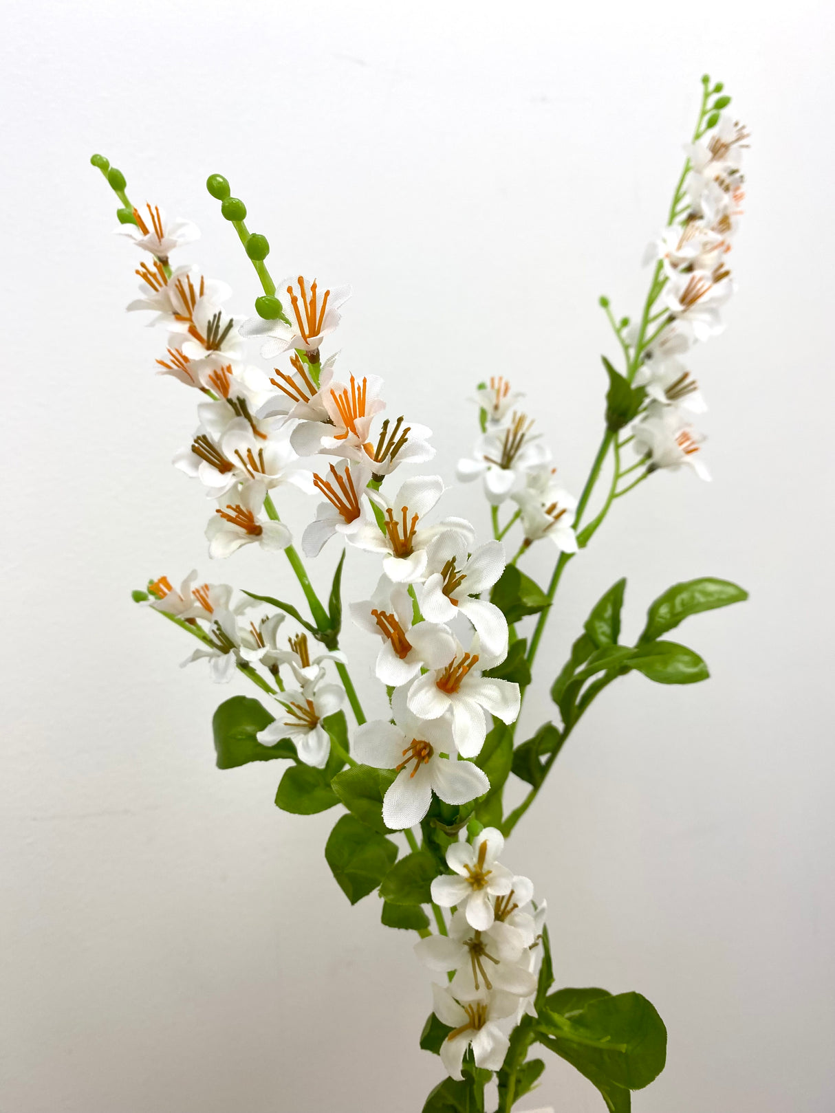 White Vinca Spray