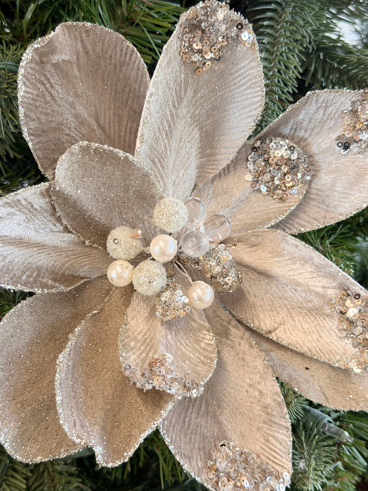 Platinum Champagne Jewel Magnolia Stem