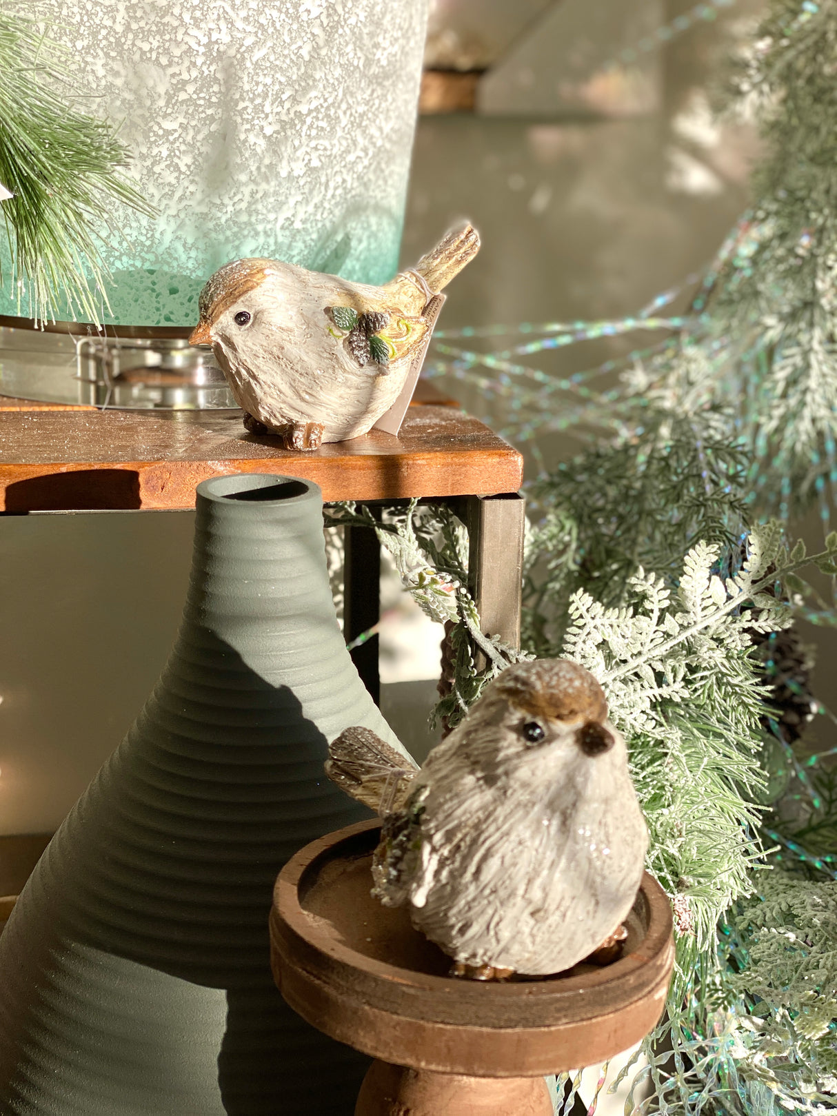Winter Wing Bird