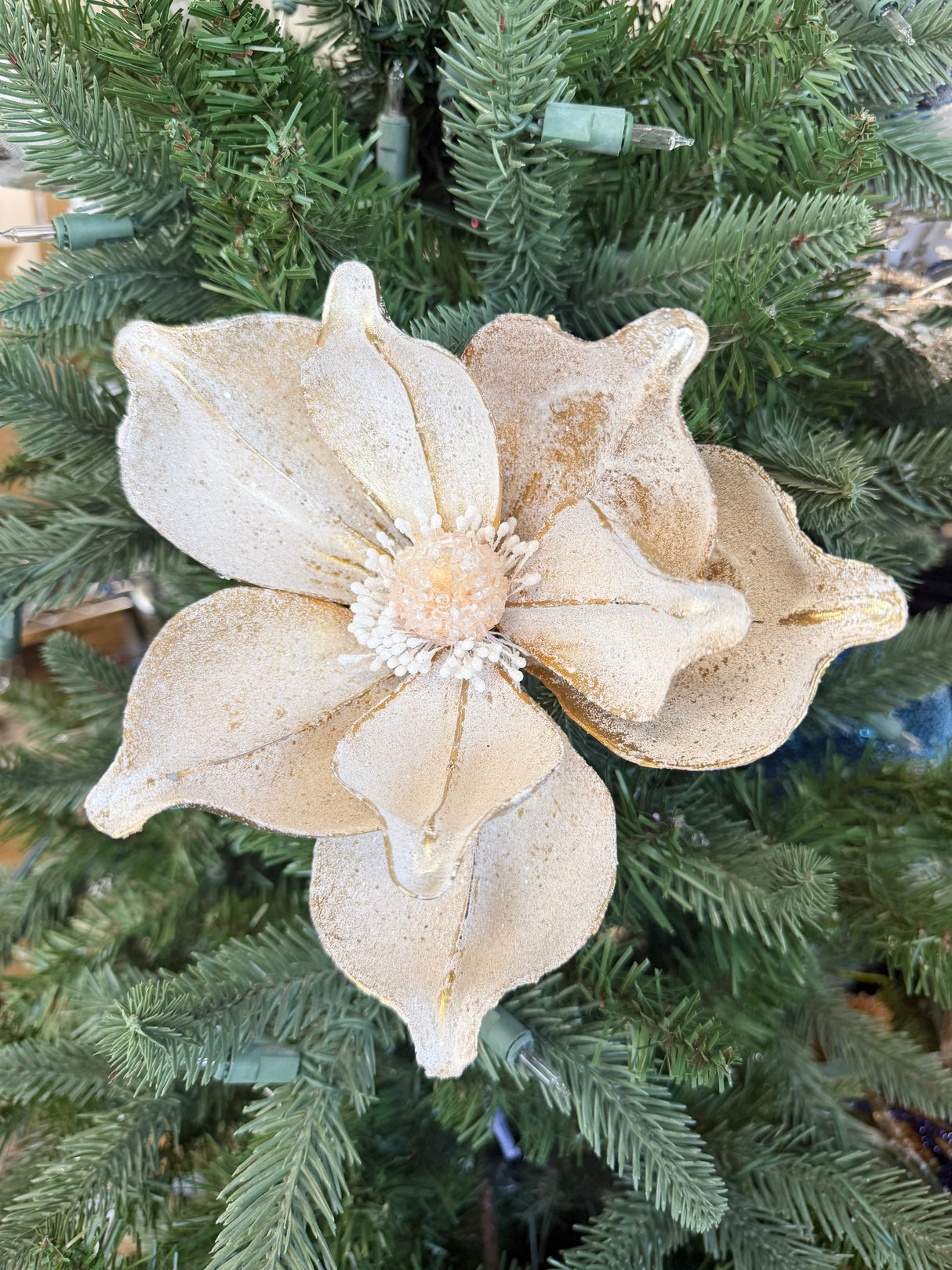 December Delights Frosted Magnolia Stem