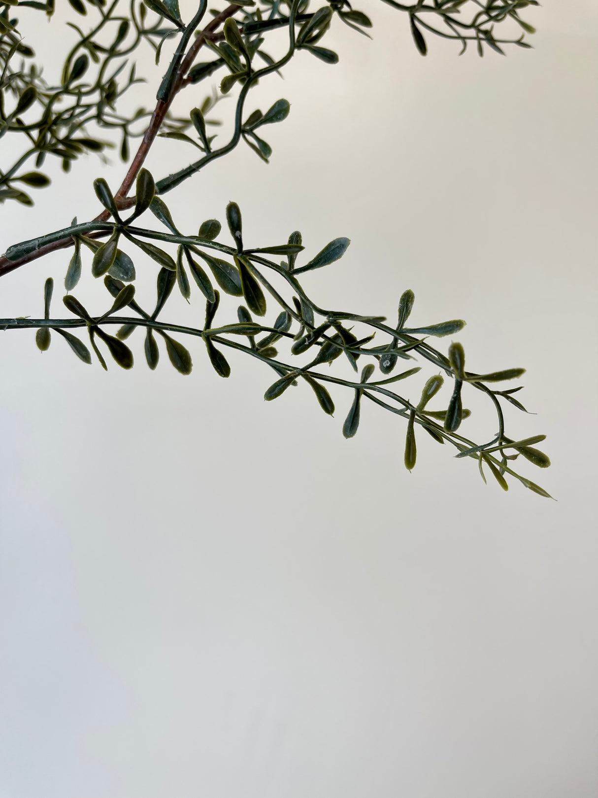 Green Lacewing Leaves Spray