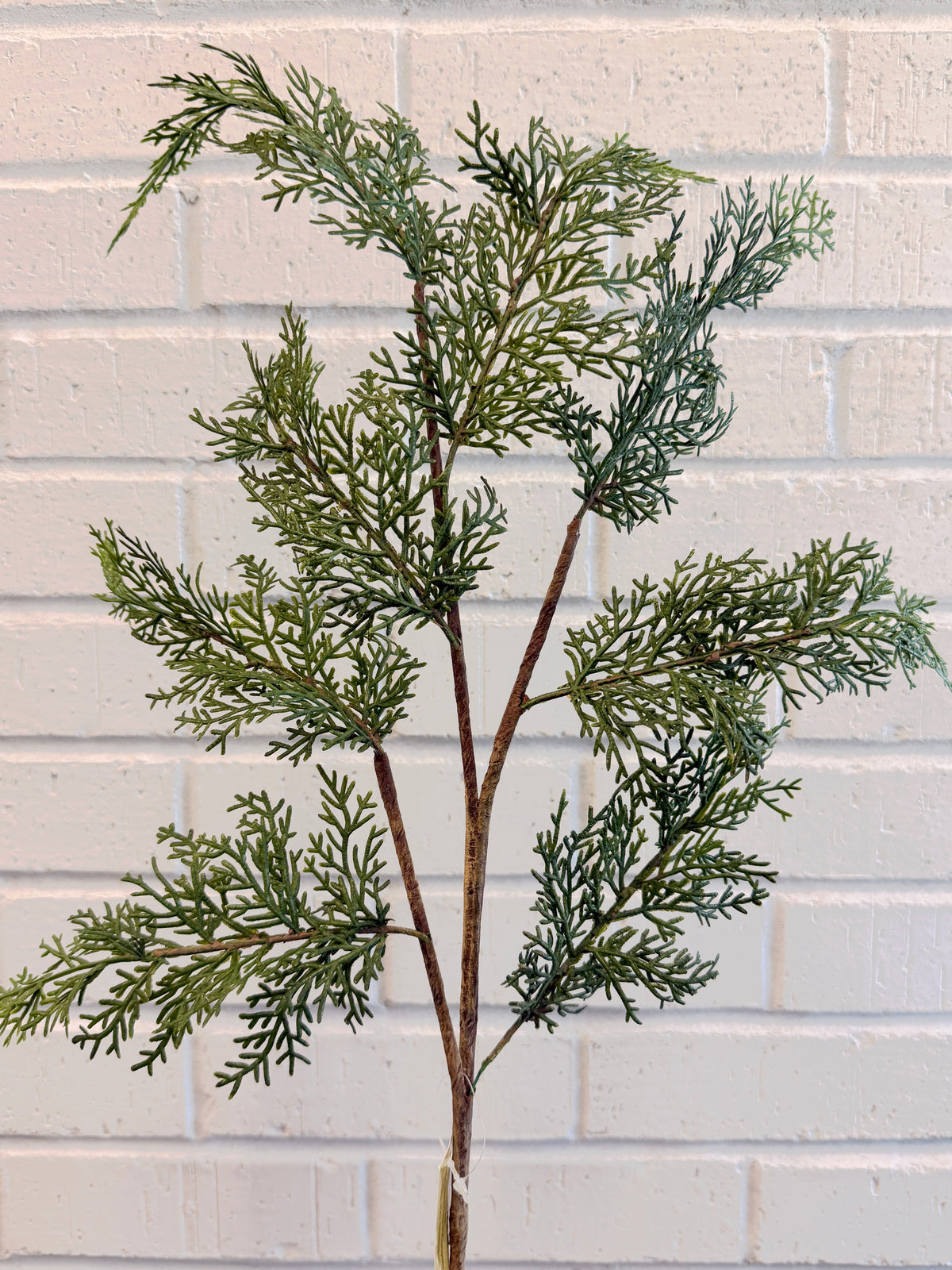 Green Eastern Cedar Spray