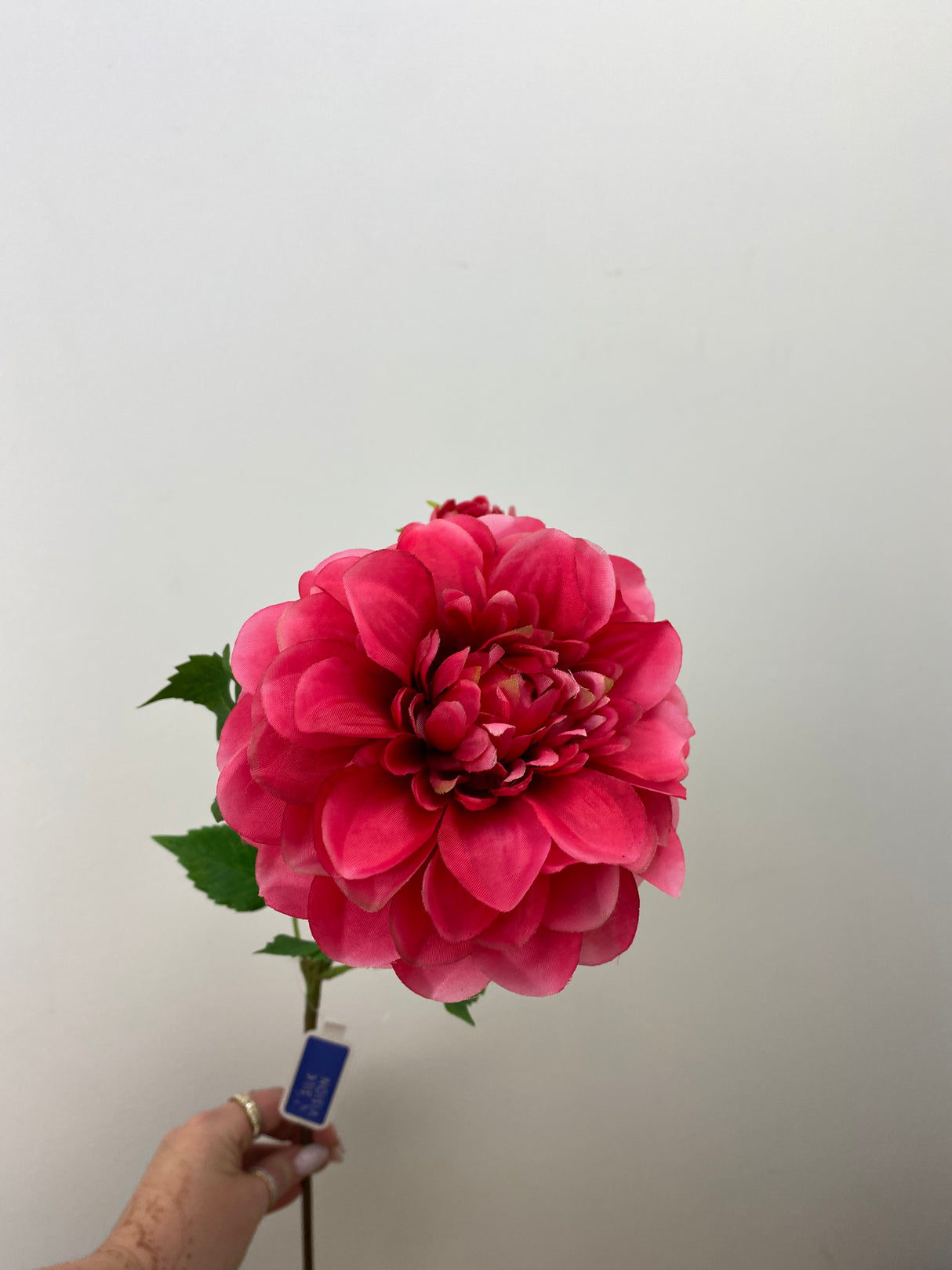 Magenta Dahlia Spray
