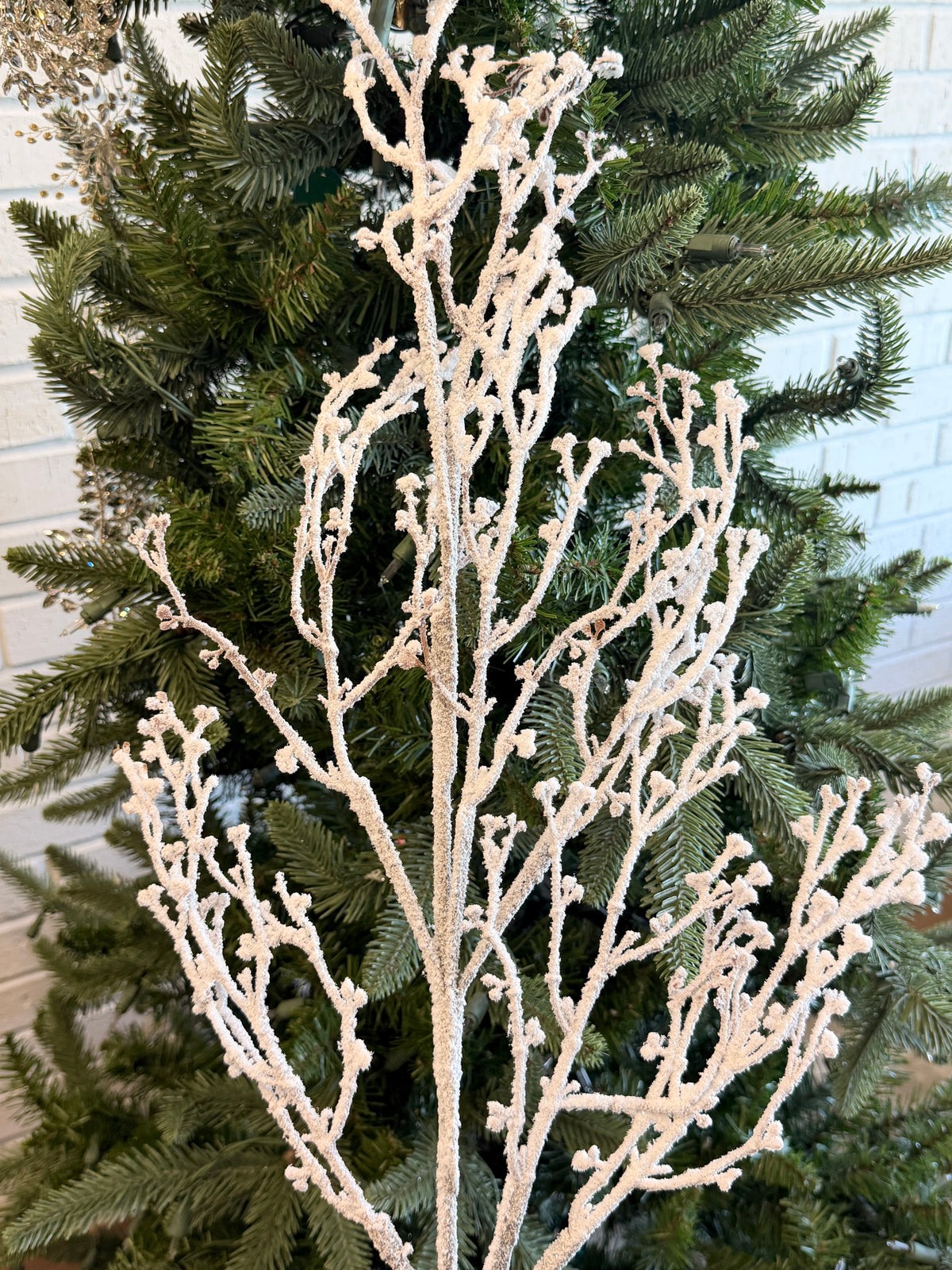 Snowed Natural Snow Branch