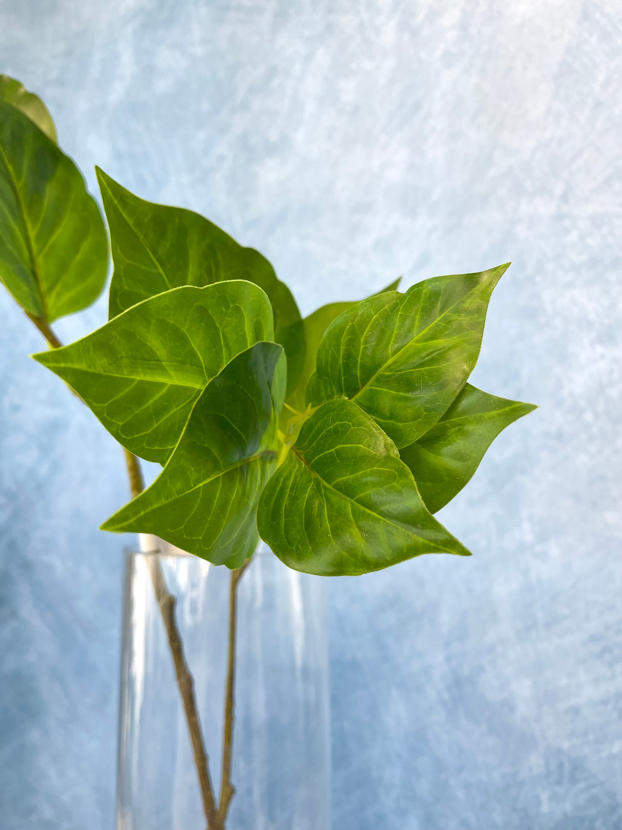 Lavender Lilac Spray