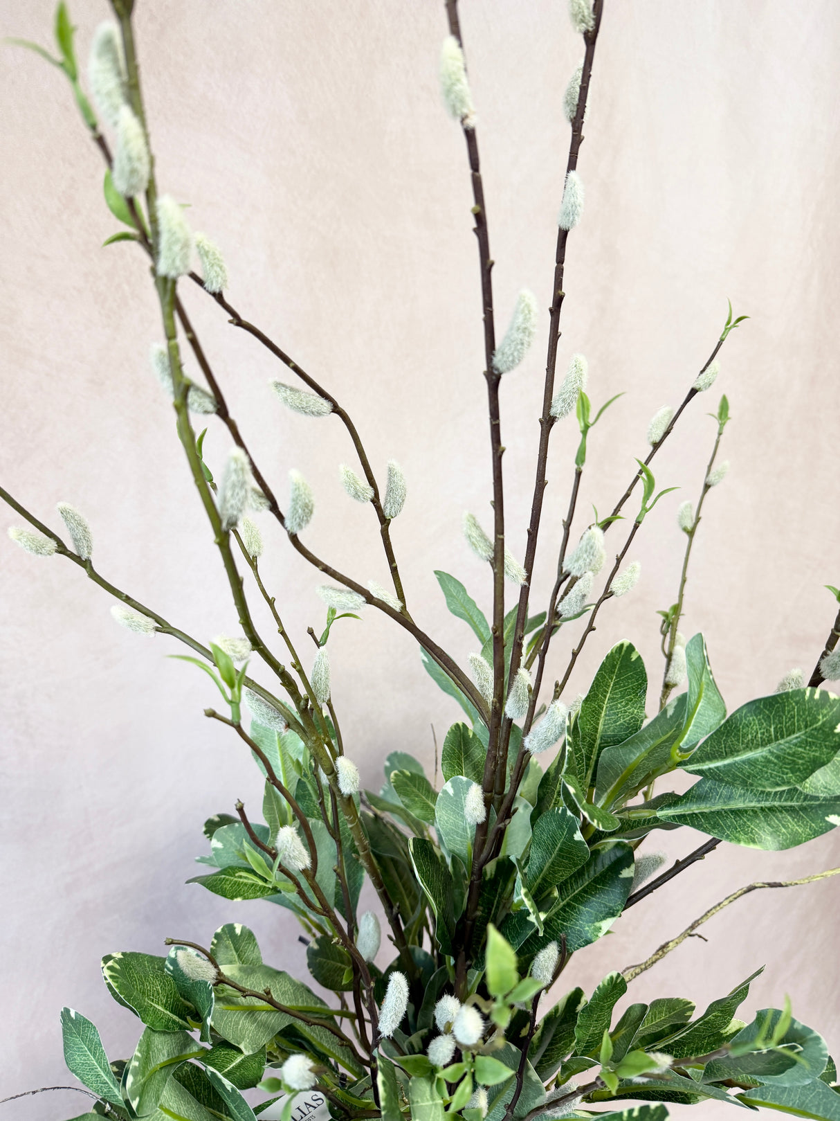 36" Willow Beauty Drop-In