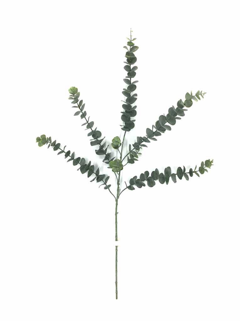 Eucalyptus Elegance Spray