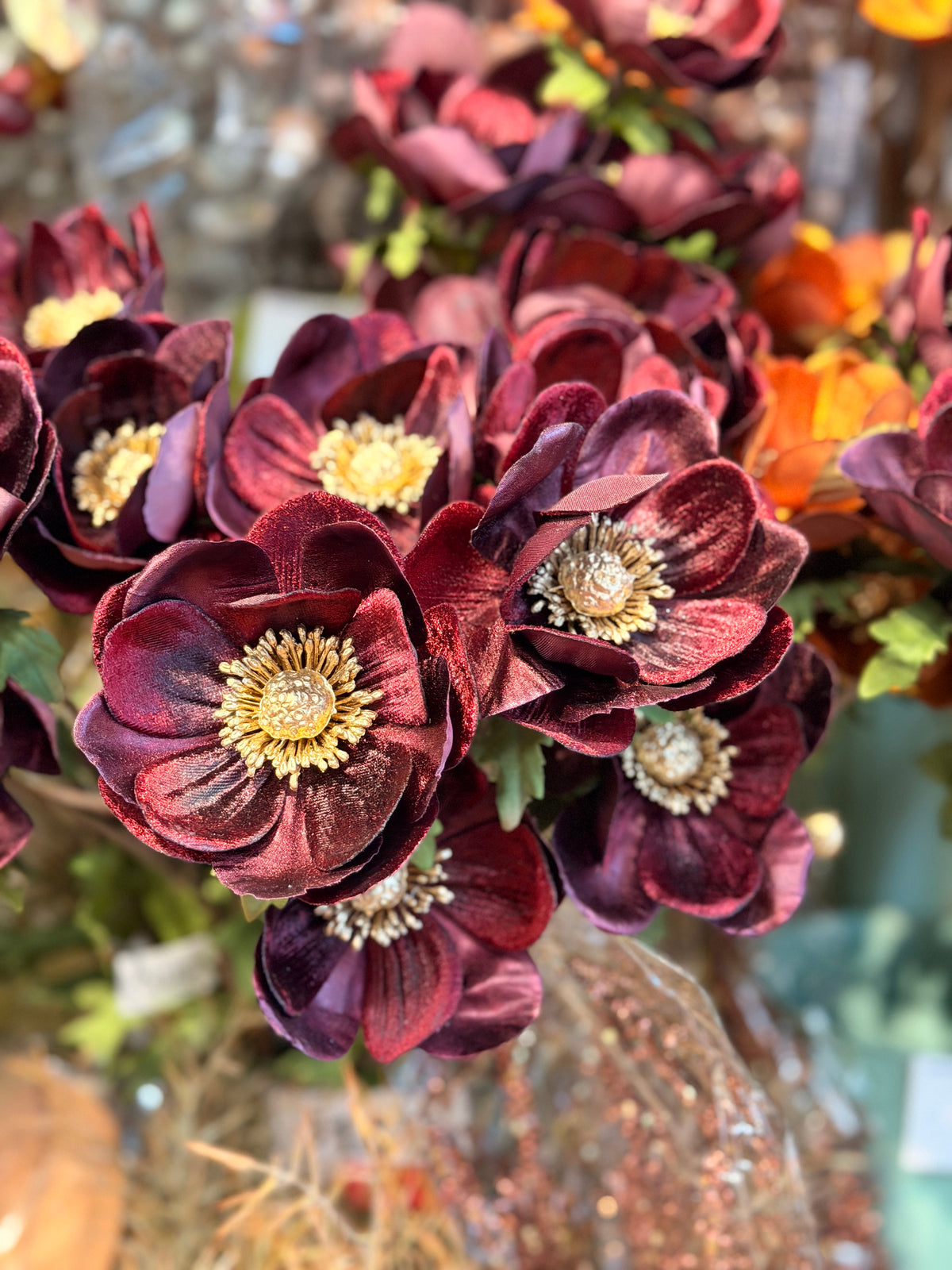 Burgundy Glamour Velvet Anemone Spray