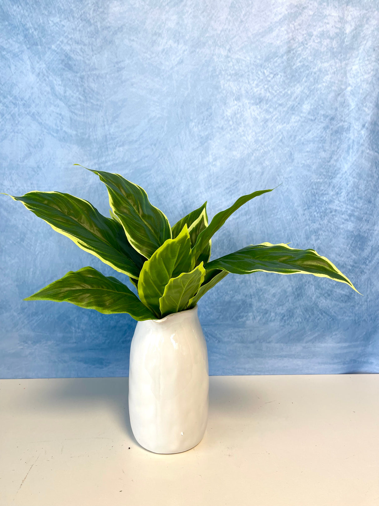 UV Protect Garden Hosta Bush