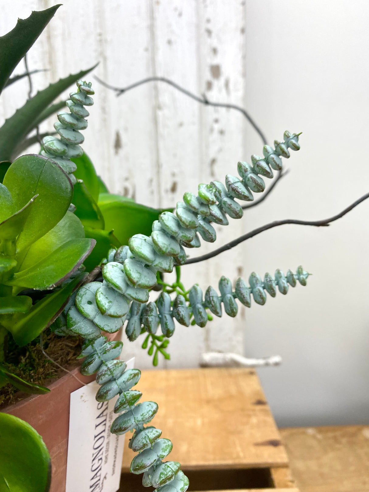 15" UV Protect A Day In The Sun Planter