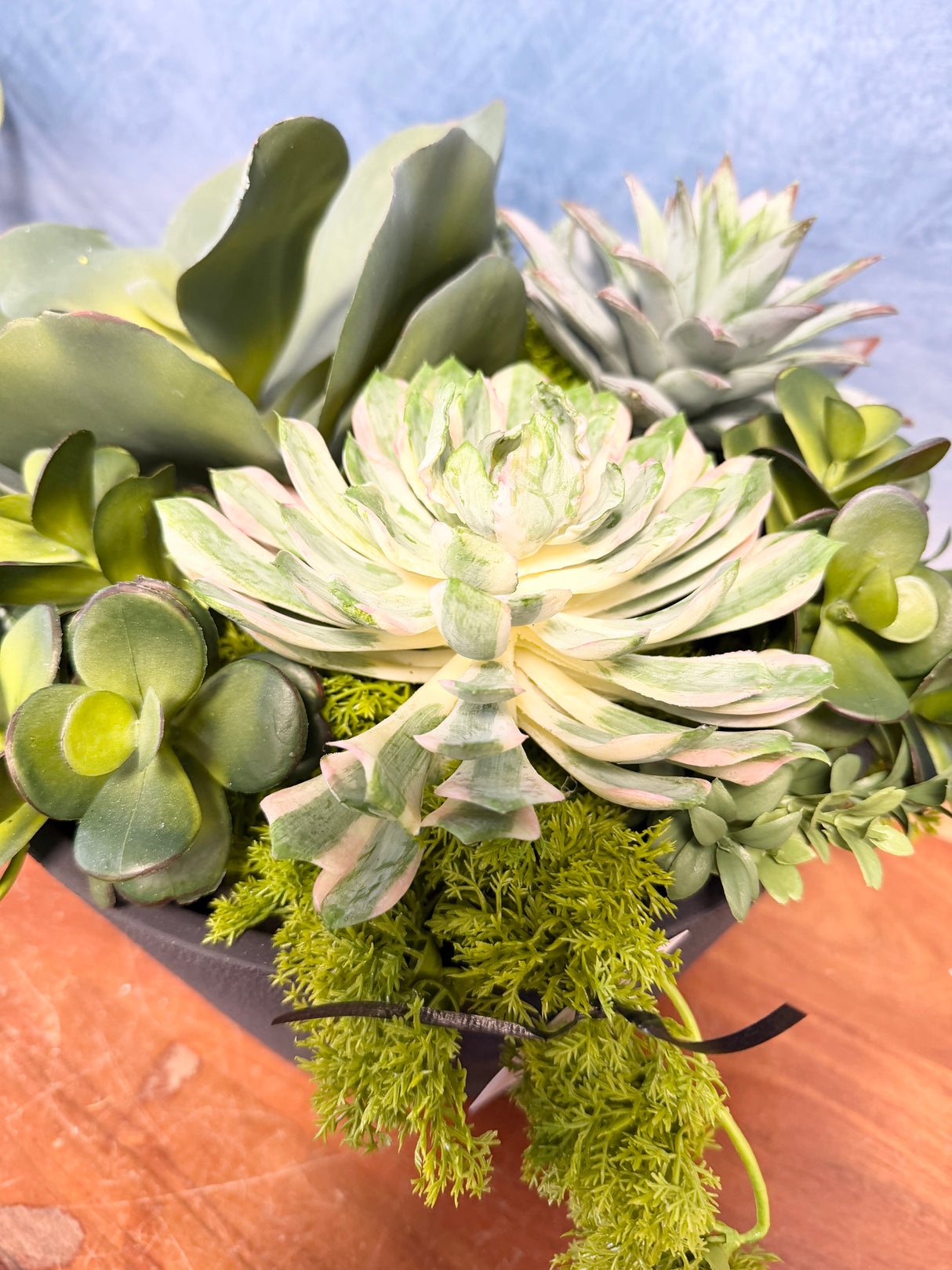 16"UV Desert Dream Planter