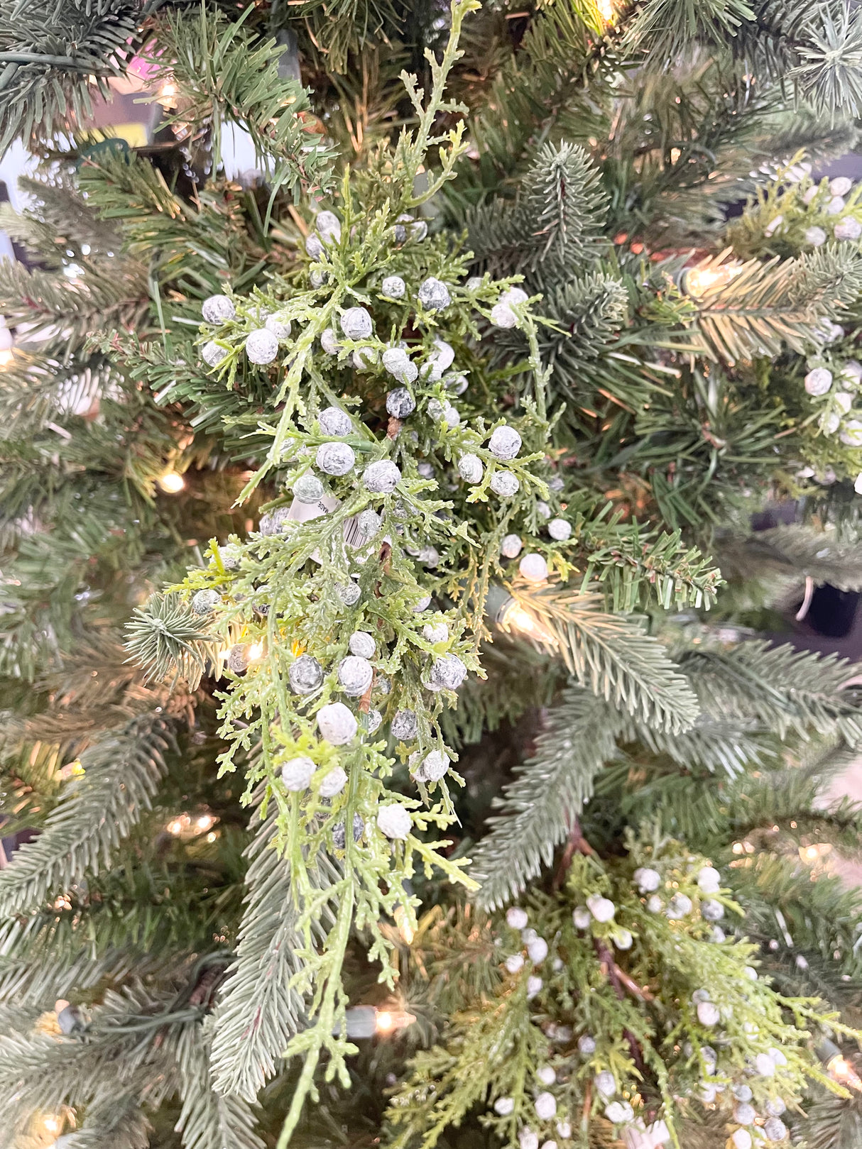 Winter Story Juniper Spray