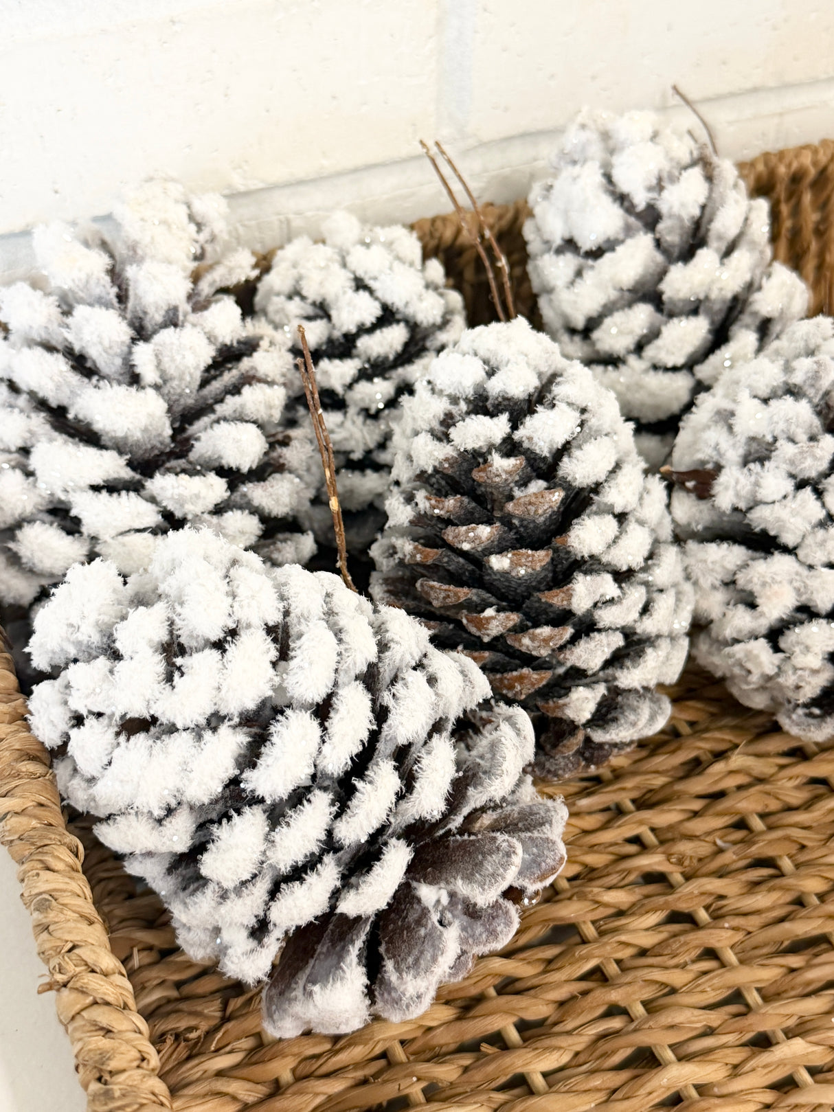 Natural Snow Pine Cone Bag