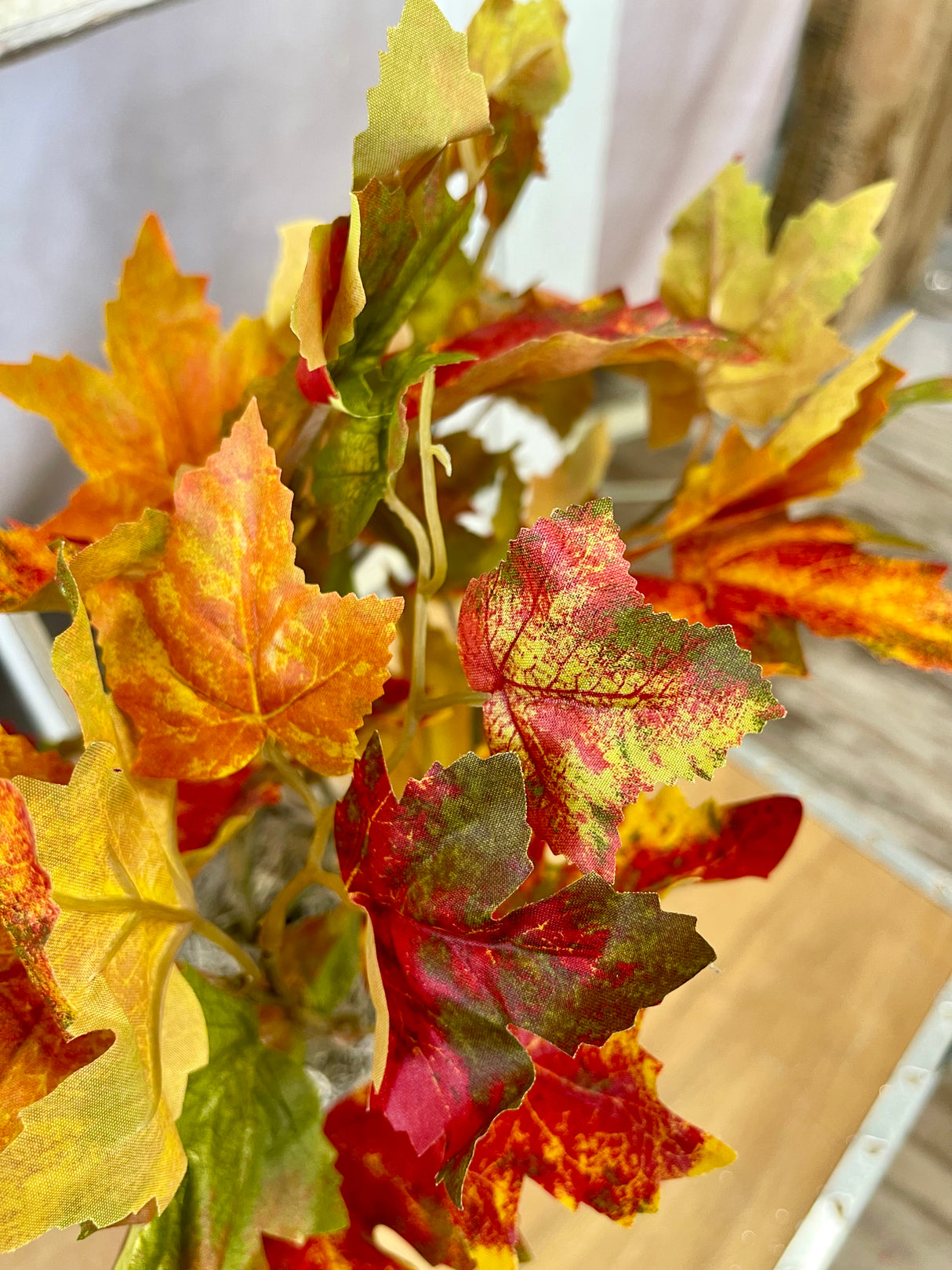 Flame Maple Bush