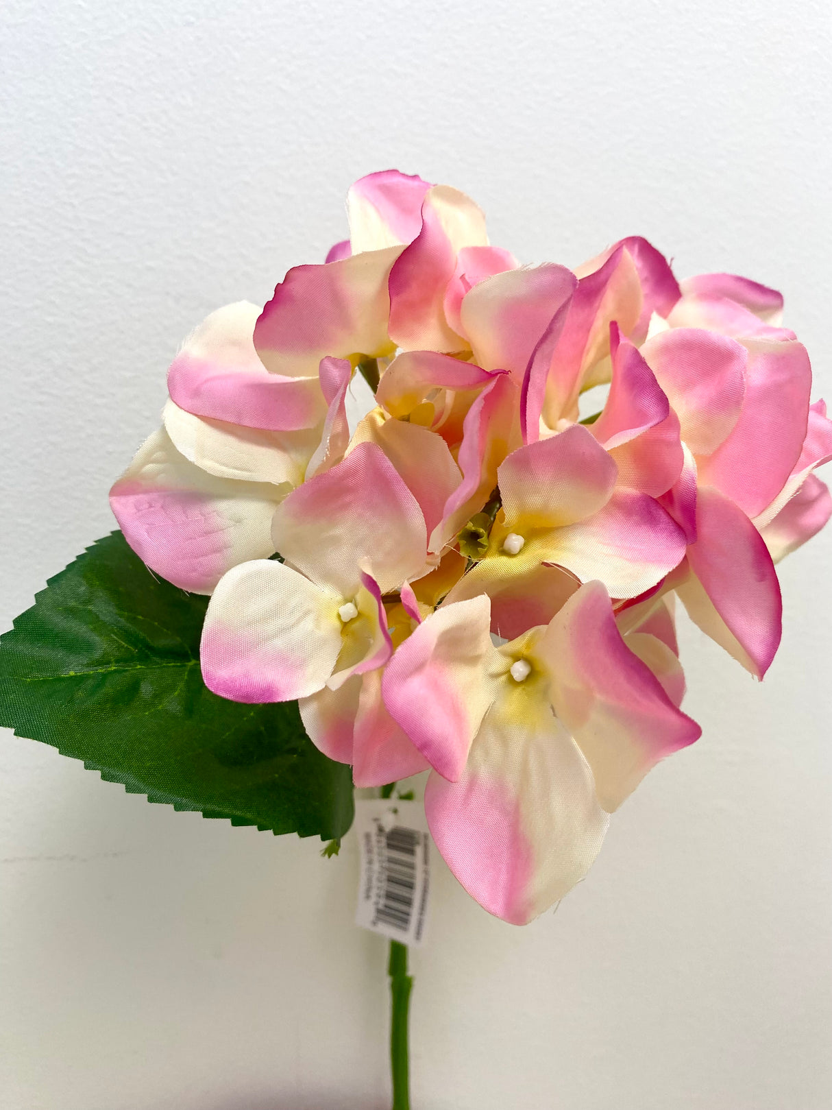 Blossom Pink Hydrangea Stem