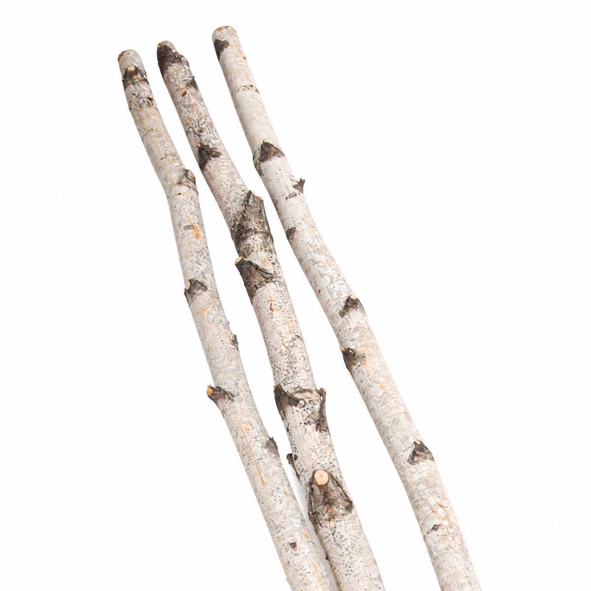 Natural 4 Foot Birch Pole