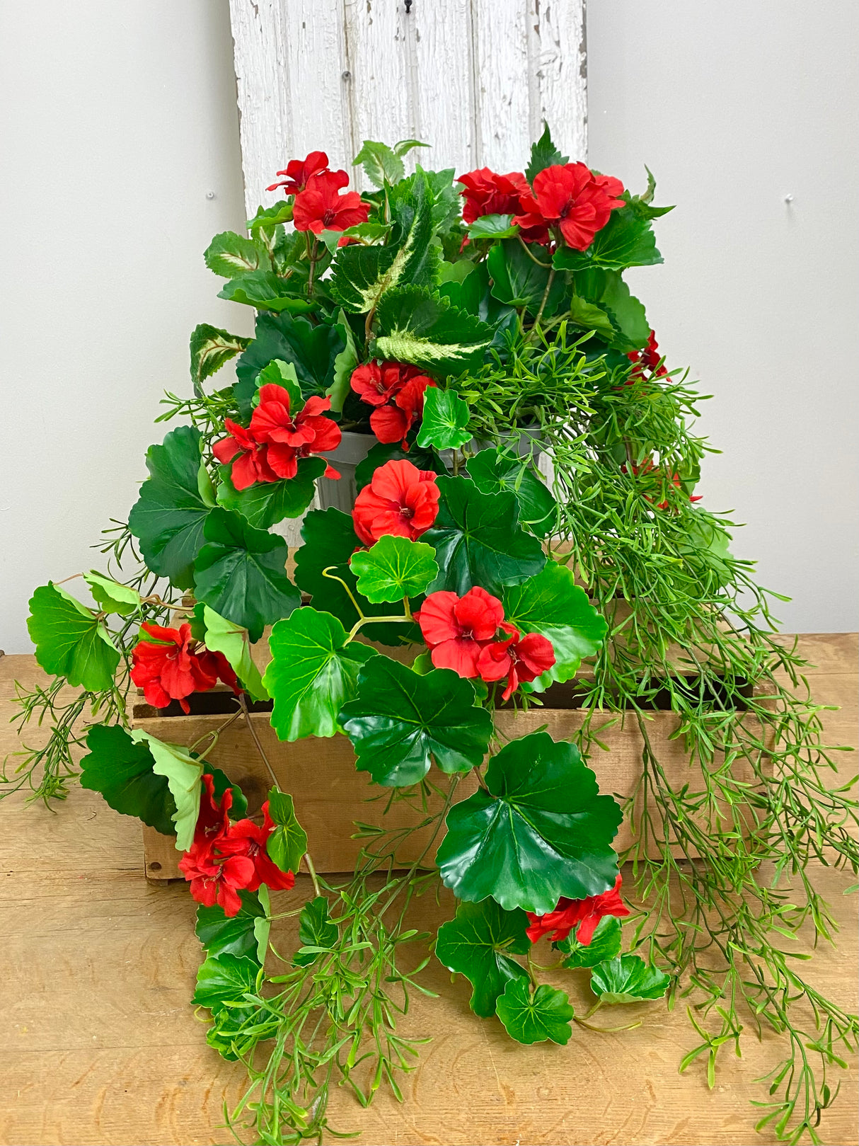 15" UV Protect Red Draping Geranium Pot-filler