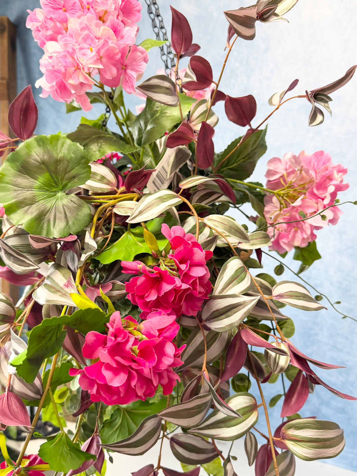 UV Protect Pink A Boo Hanging Basket Kit