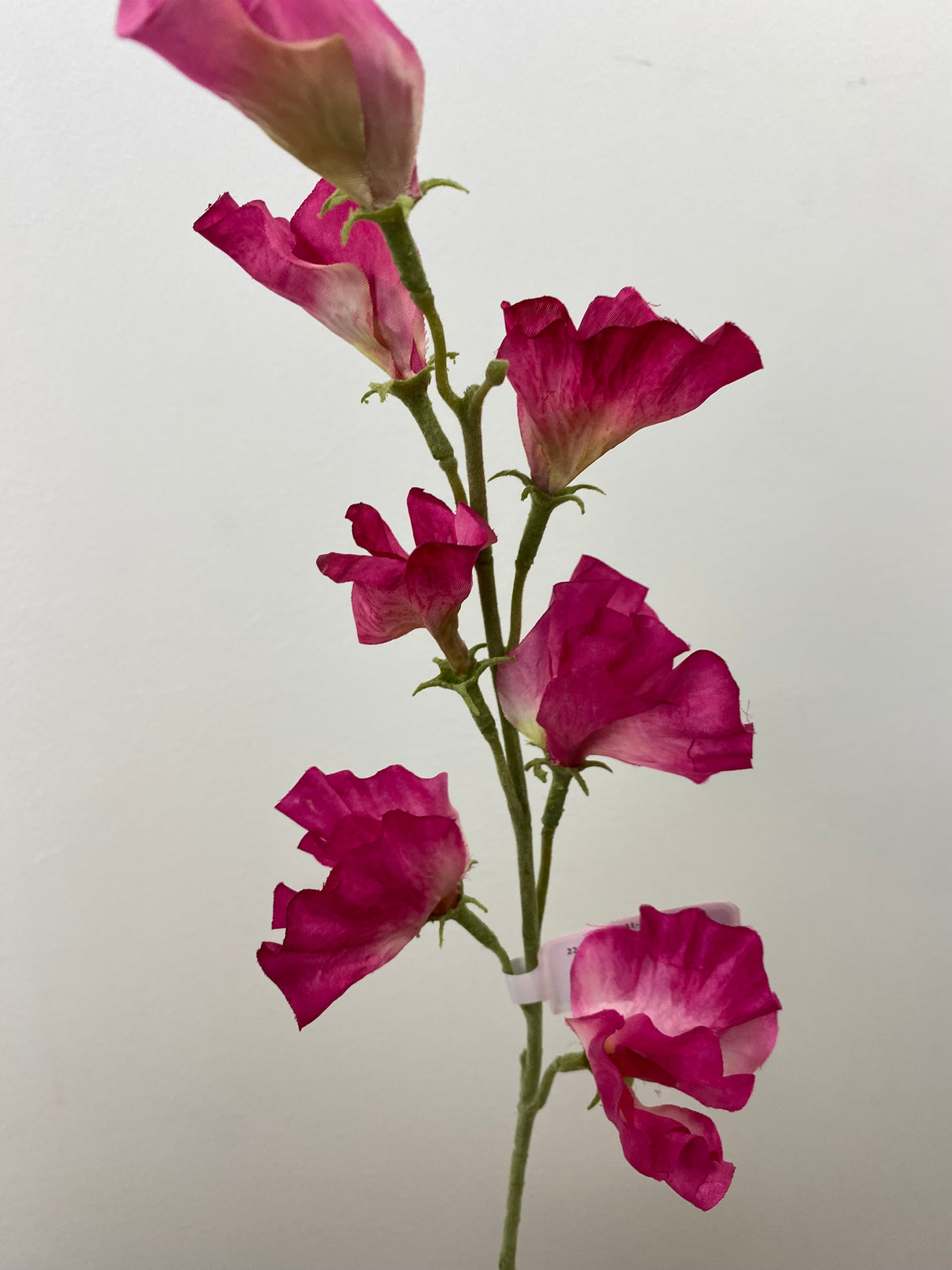 Fushcia Sweet Pea Spray