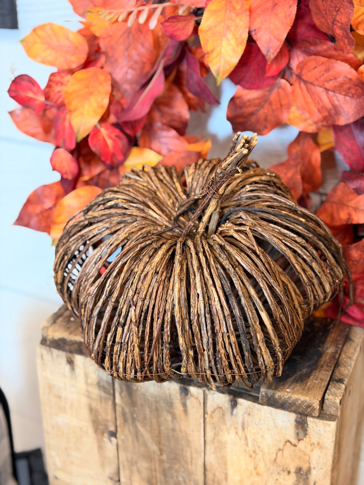Raven Large Vine Pumpkin