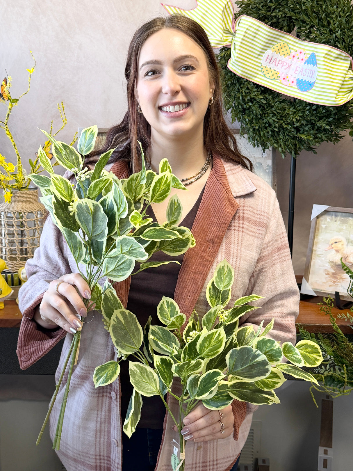 Seedling Beech Greenery Bundle