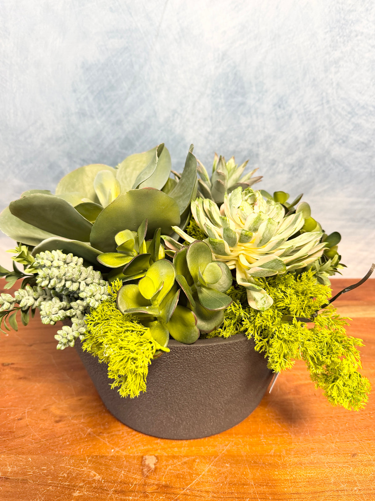 16"UV Desert Dream Planter