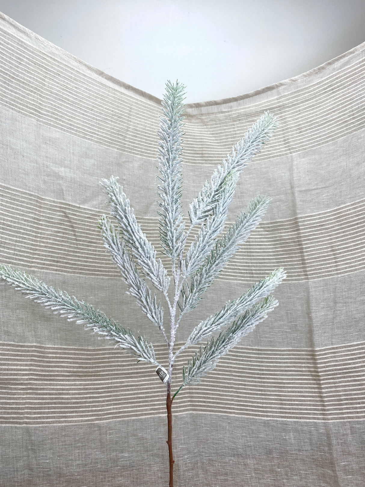 Winter Wonder Snow Pine Spray