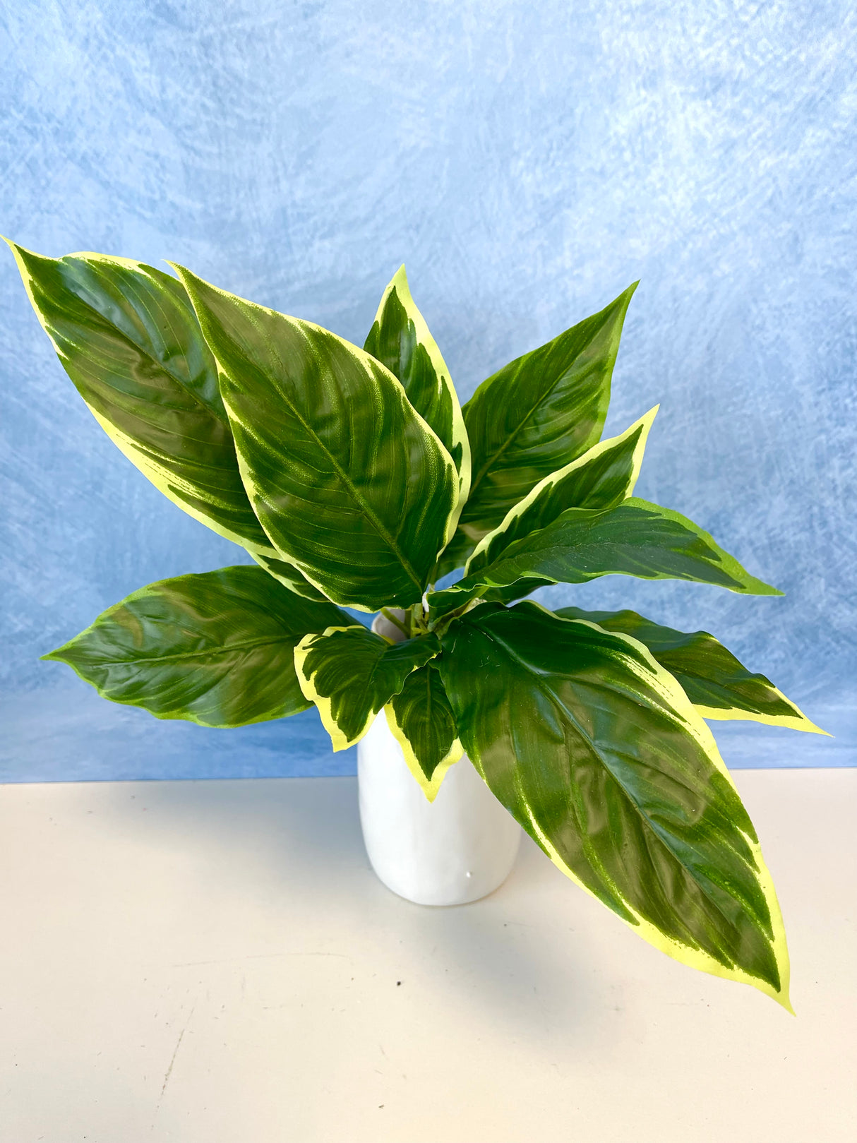 UV Protect Garden Hosta Bush