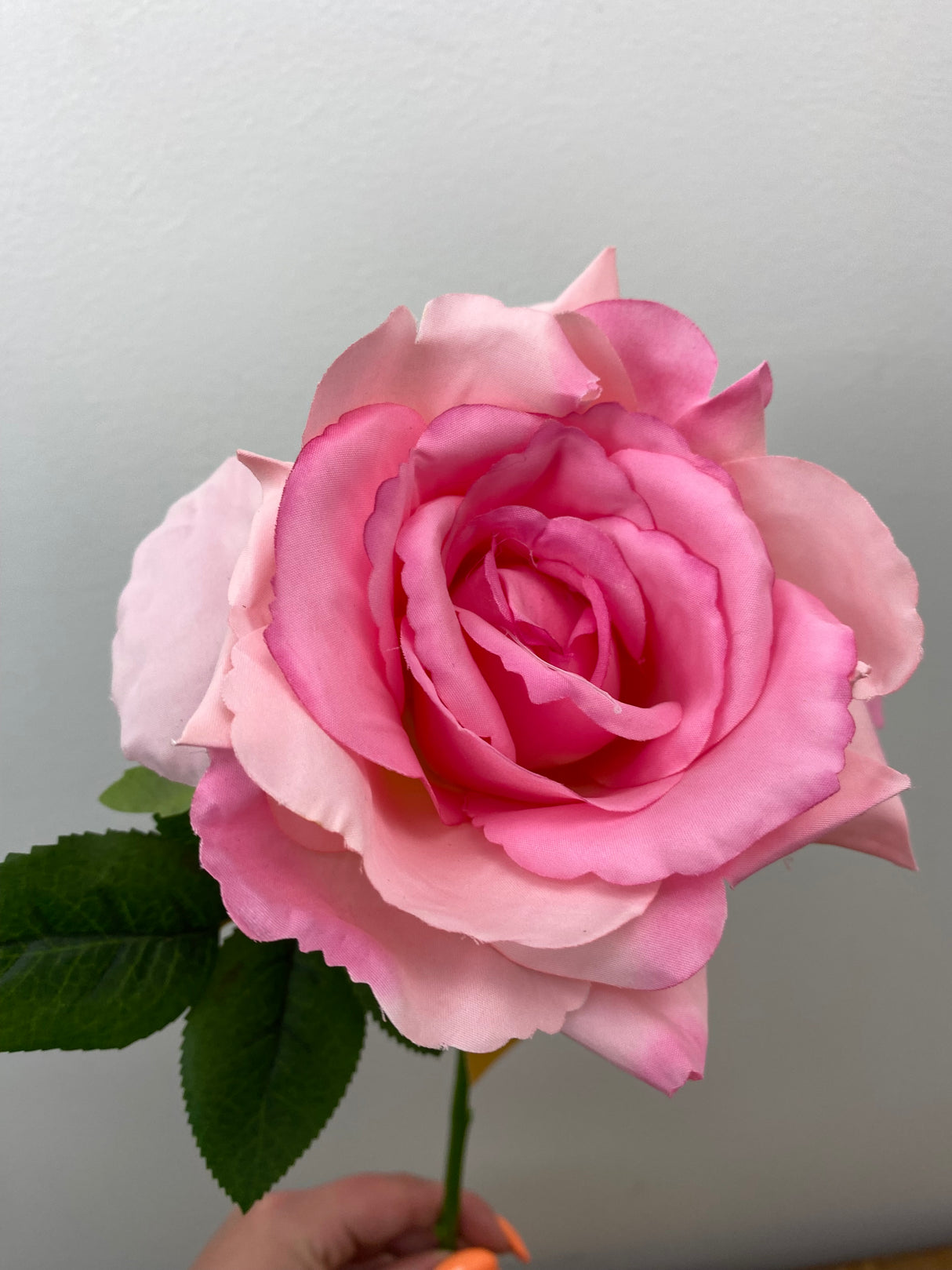 Blossom Pink Rose Stem