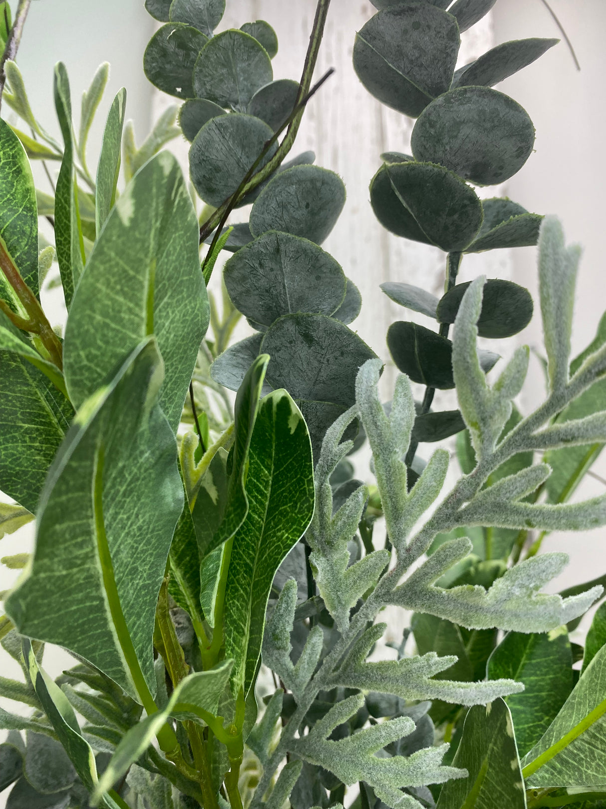 38" Variegated Veronica Drop-in